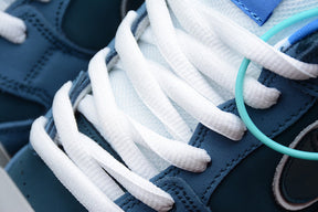 Nike SB Dunk Concepts Blue Lobster