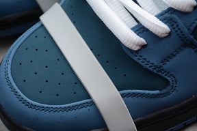 Nike SB Dunk Concepts Blue Lobster